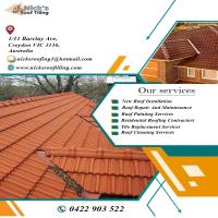 Roof Painting Services Ringwood image 1